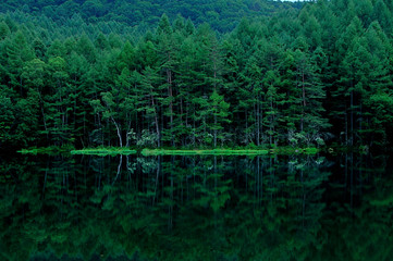 長野県　夏の御射鹿池