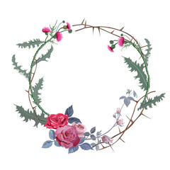 Vintage round frame: thistle, red roses (bouquet, flowers, buds, leaves), prickly branches on white background. Vector illustration, watercolor style. Concept for Halloween. Digital draw.