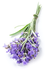Fototapeta premium Bunch of lavandula or lavender flowers isolated on white background.