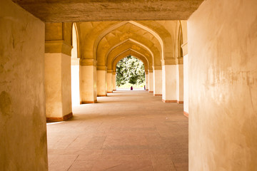 Fototapeta premium agra