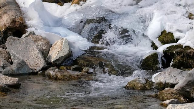 Video of Altai river Bolshaya Gromotuha in winter