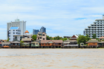Fototapeta na wymiar Picture of the houses along the Chao Phraya River.