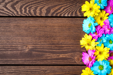 Colorful flowers on an old wooden background. Close up