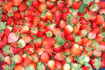 Fresh Strawberry Background
