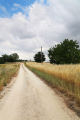 Country road and blue sky with clouds