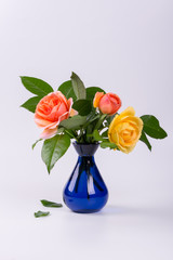 Fresh yellow and peach roses in a blue vase isolated on white background
