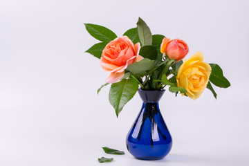 Fresh yellow and peach roses in a blue vase isolated on white background