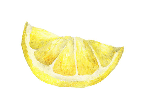 Watercolor lemon slice. Hand drawn illustration, isolated on white background with clipping path