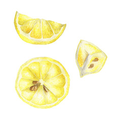 Watercolor set of lemons. Lemon segments, juicy lemon.