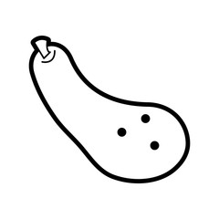 Flat line uncolored zucchini over white background vector illustration