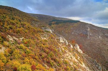 Beautiful landscape in the mountain with colorful autumn forest