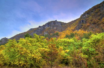 Beautiful landscape in the mountain with colorful autumn forest