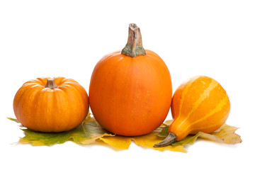 decorative pumpkins and autumn leaves isolated