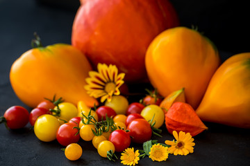 Naklejka na ściany i meble Tomatoes of different colors of shapes and sizes And yellow flowers of calendula on a dark background. Gifts of Autumn 