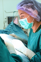 veterinarian surgeons in operating room