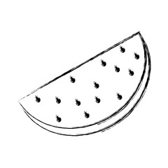 Delicious watermelon fruit