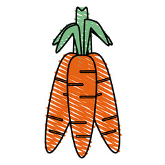 Colorful carrots doodle over white background vector illustration