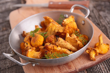 mushroom,chanterelle