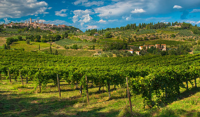 Fototapeta na wymiar Panoramic view on San Gimignano, one of the nicest villages of Italy