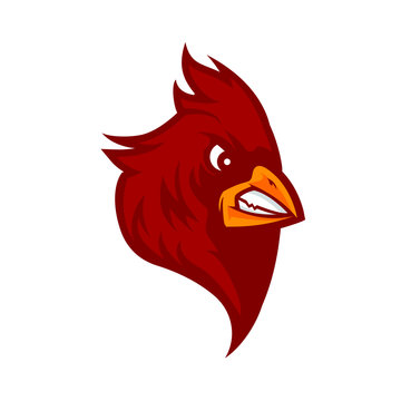 red cardinal bird vector graphic logo, mascot, character image