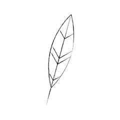 feather ink isolated icon vector illustration design