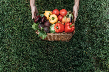 farmer holding basket with vegetables