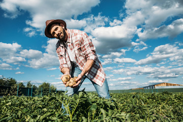 farmer holding potatoes in field © LIGHTFIELD STUDIOS