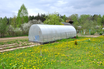 Obraz premium Agricultural semicircular greenhouse with plants in the garden.