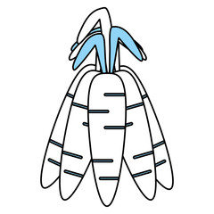 Flat line monocromatic carrots over white background vector illustration