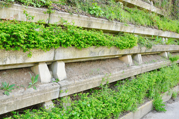 Gray concrete retaining wall planted with green plants.