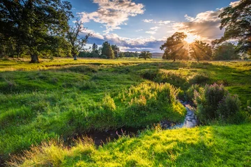 Fototapete Rund River Aln unter Golden Light / Der River Aln fließt durch Northumberland von Alnham nach Alnmouth. Hier mäandernd in Ackerland kurz nach Alnham . gesehen © drhfoto