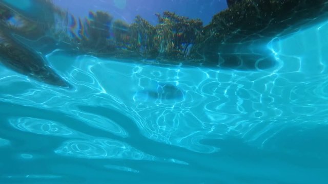 Swimming pool surface from underwater