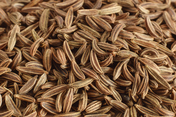 K&uuml;mmel Nahaufnahme Hintergrund