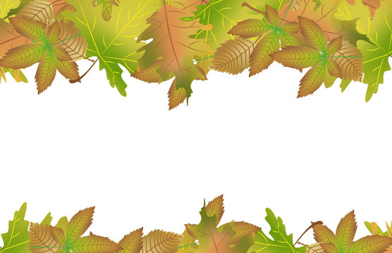 Autumn leaves on a white background. Vector illustration