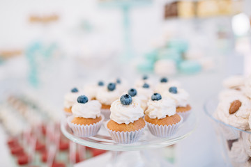 Cookies with white cream and blackberries