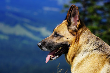 Abenteuer in den Bergen