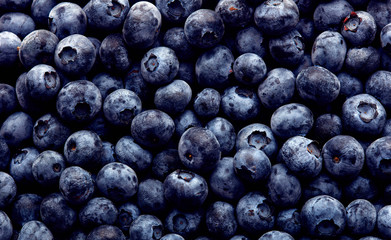 Freshly picked blueberries. Wild berry, Healthy food - 167899844