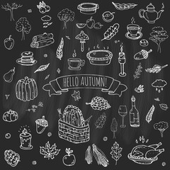 Hand drawn doodle Autumn icons set. Vector illustration. Fall symbols collection. Cartoon various seasonal elements: turkey, harvest, vegetables, pumpkin pie, leaves, trees, hot tea, wine, mushrooms