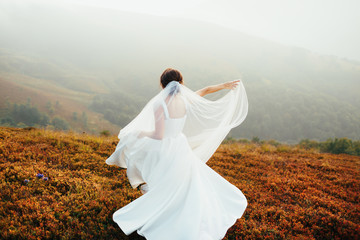 Fototapeta na wymiar Stunning bride whirls on the yellow grass