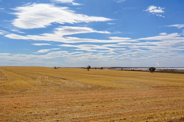 Obraz premium Błękitne niebo z chmurami nad jeziorem Tyrrell i gruntami ornymi po zbiorach w pobliżu jeziora Sea Lake, Victoria, Australia