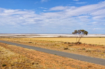 Obraz premium Lake Tyrrell at Sea Lake is the largest salt lake in Victoria, Australia