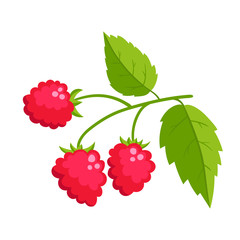 Cartoon raspberry with green leaves isolated on white background