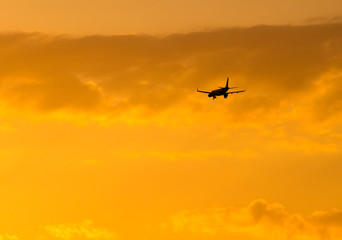 The plane is landing at sunset