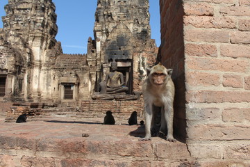 Lop Buri in Thailand