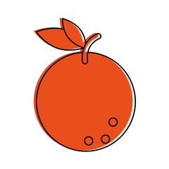 orange fruit icon image vector illustration design  orange color