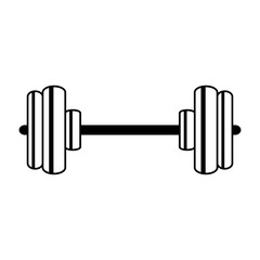 barbell weight lifting icon image vector illustration design 