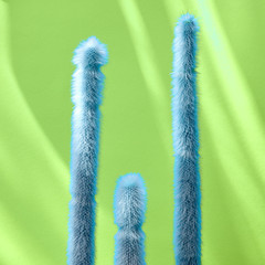 Cactus Fashion Set. Art gallery Design. Minimal Stillife. Vanilla Trendy Pastel Colors. Blue Neon Cactus Mood on green background. Pop art