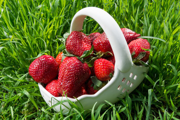 Strawberries in ceramic basket on grass