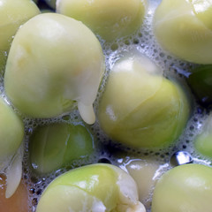 Macro shot of dried green peas soaked.