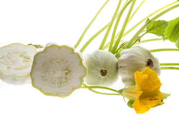 pattypan, white squash, Cucurbita pepo plant isolated on a white background